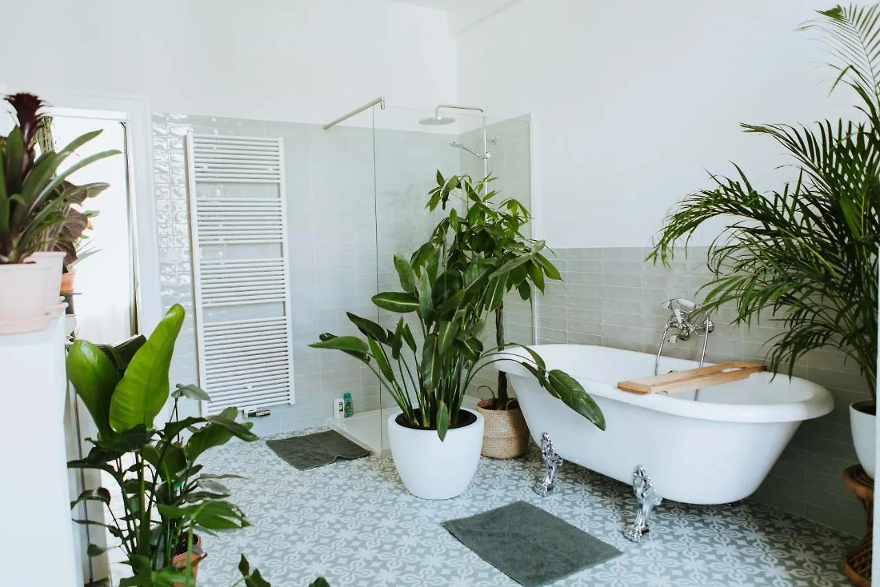 Bed & Breakfast Musa Antverpy