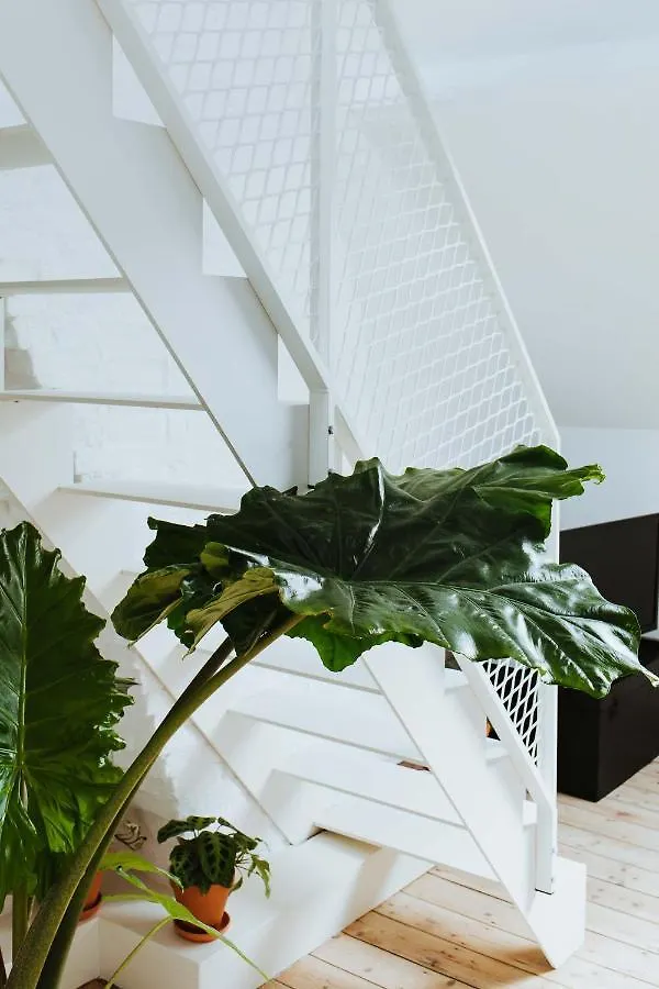 Musa Antverpy Bed & Breakfast